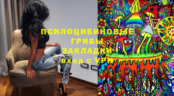 индика Нефтекумск