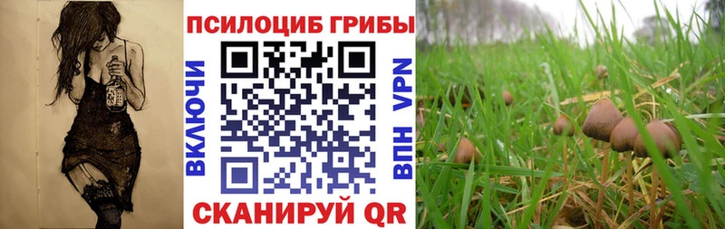 Галлюциногенные грибы мухоморы  Смоленск 